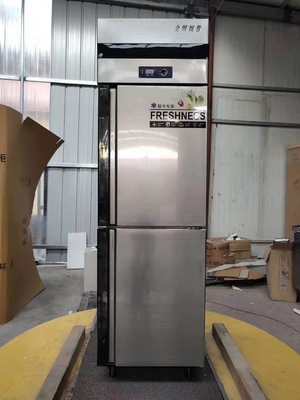 Stainless Steel Sliding Sliding Glass Freezer