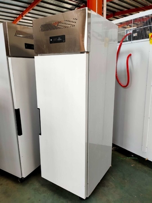 Stainless Steel Sliding Sliding Glass Freezer