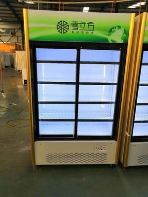 Refrigerated Wine Sliding Door Display Fridge 768L