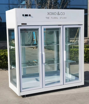 Three Doors Floral Display Cooler Air Cooling 2 To 8 Degree